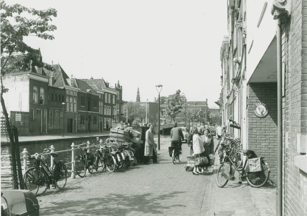 Oude Rijn, Gepekte brug.jpg
